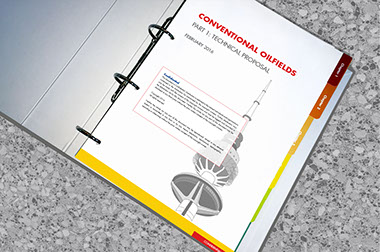 Graphiqa project management and design for international biddings and tenders